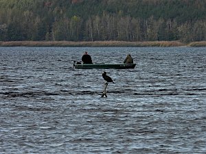 Peter Blei am Muldestausee