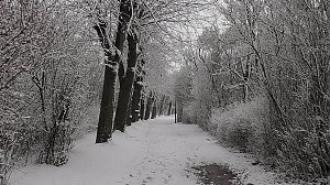 Winter unterm Kyffh&auml;user