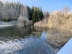Osterspaziergang mit Peter Blei