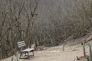 Besuch im Affenpark Strau&szlig;berg