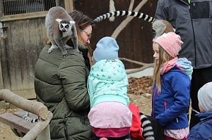 Besuch im Affenpark Strau&szlig;berg