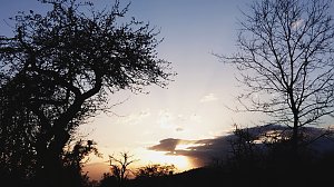 Corona am Abend