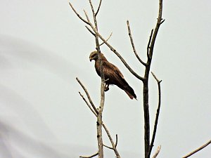 Ausflug zum Muldestausee