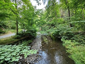 Vom M&auml;gdesprung zum Waldgagsthof
