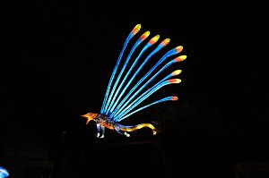 Peter Blei in den magischen Lichterwelten