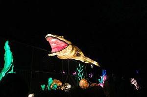 Peter Blei in den magischen Lichterwelten