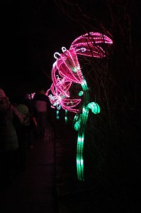Peter Blei in den magischen Lichterwelten