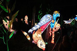 Peter Blei in den magischen Lichterwelten