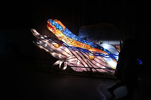 Peter Blei in den magischen Lichterwelten