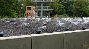 Stippvisite bei der Landesgartenschau in Bad Gandersheim