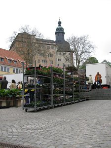 Blumen und mehr