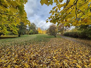 Der Herbst im Park