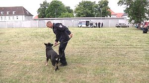 Offene Türen bei der Polizei