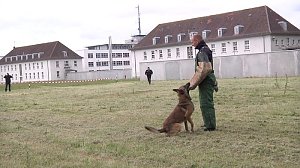 Offene Türen bei der Polizei