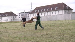 Offene Türen bei der Polizei