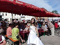 Bild: Sondersh&auml;user Weinfest � H&auml;ndler gesucht