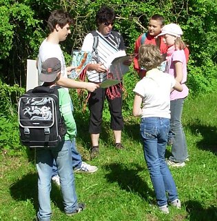 Bild: Bundesfreiwilligendienst im Naturpark