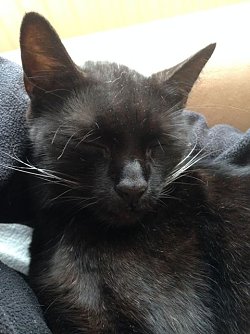 P&uuml;nktchen (Foto: Ramona Werkmeister)