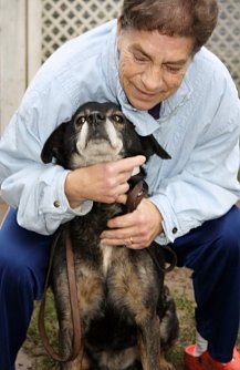Der Freund: der Hund (Foto: Karin Ziegler)