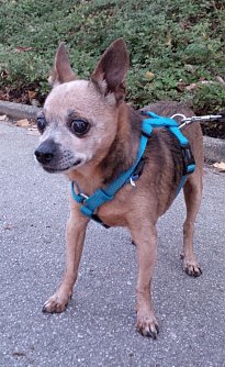 Charly (Foto: meand3kids)