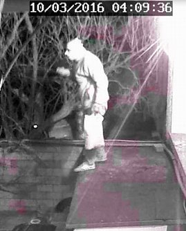 Einbrecher (Foto: Polizei)