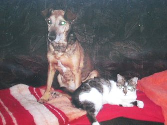 Maja und Bl&uuml;mchen (Foto: Karin Ziegler)