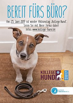 Der Deutsche Tierschutzbund ruft f&uuml;r den 29. Juni zur Teilnahme am Aktionstag Kollege Hund auf.    (Foto: Deutscher Tierschutzbund e.V.)