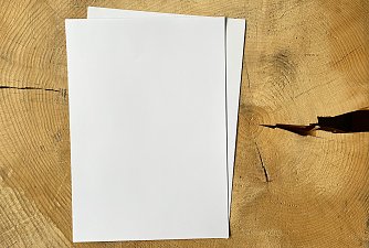 Ohne Holz kein Papier. Die Zellulose, neben Lignin wichtigster Bestandteil von Holz, ist Ausgangspunkt der Papierproduktion.  Foto: Th&uuml;ringenForst