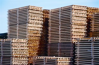 Seit Jahrzehnten in der Logistik nicht mehr wegzudenken: Holzpaletten. Auch die Th&uuml;ringer Palettenhersteller werden mit dem heimischen, nachhaltig produzierten Rohstoff Holz versorgt Foto: HAF/Th&uuml;ringenForst-A&ouml;R