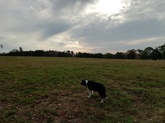 Herbstlich grau war der Morgen heute in Sophienhof Foto: W. J&ouml;rgens