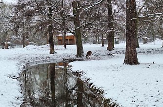 Sonntagsspaziergang im Park Foto: S. Deckert