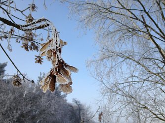 Wetterbild Foto: nnz