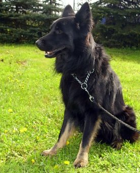 Bild: Jack