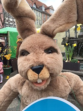 Bild: Riesenosterhase entf&uuml;hrt