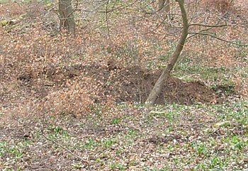 Kurz vor der Sprengung (Foto: Karl-Heinz Herrmann)