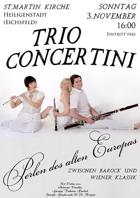 Konzert in St. Martin (Foto: St. Martin )