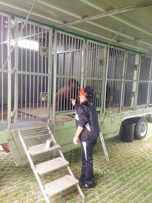 Abschied am B&auml;renwagen (Foto: R&uuml;diger Schmiedel)