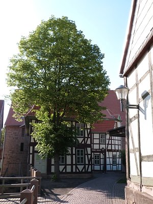 Herrnm&uuml;hle (Foto: Daniela Merten)