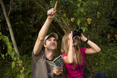 Vom 8 bis zum 10 Mai sind Vogelfreunde aufgerufen zu beobachten, zu z&auml;hlen und ihre Beobachtungen dem NABU zu melden (Foto: NABU Th&uuml;ringen)