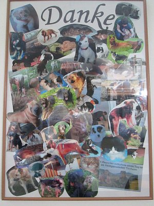 Danke (Foto: Karin Ziegler)