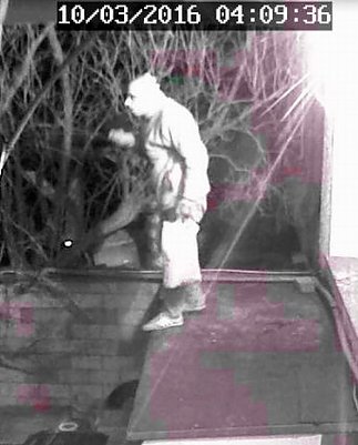 Einbrecher (Foto: Polizei)