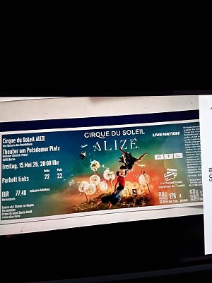 Eintrittskarte (Foto: )