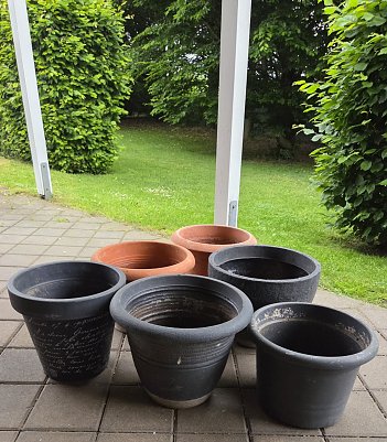 6 gro&szlig;e Pflanzt&ouml;pfe f&uuml;r kleines Geld  (Foto: )