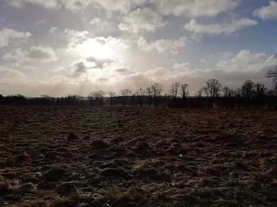 Das Wetter um 9 Uhr in Sophienhof: Null Grad, starker Wind und Sonne. Stra&szlig;en sind momentan frei. Foto: W. J&ouml;rgens