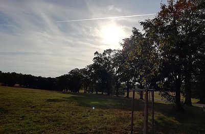 Heute Morgen in Th&uuml;ringens n&ouml;rdlichstem Punkt Sophienhof 3&deg;C, Sonnenschein und leichter Wind Foto: W.J&ouml;rgens