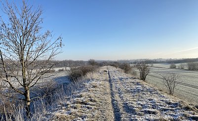 Wer in den n&auml;chsten Tagen echten Schnee sehen will, der muss sich Richtung S&uuml;ddeutschland aufmachen  Foto: oas