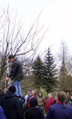 Baumschnittseminar (Foto: Kunsthof Friedrichsrode)