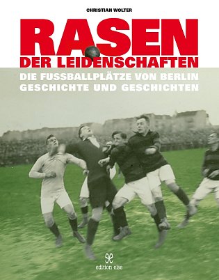 Bild: rasen der 
