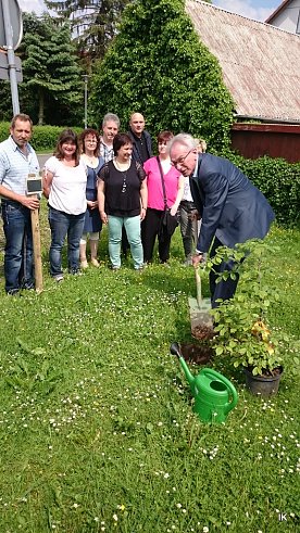 Bild: Baum gepflanzt