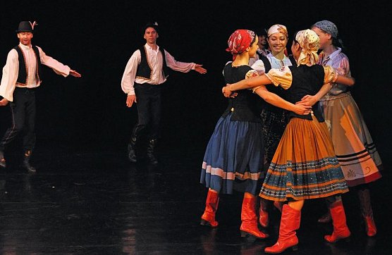 Sieben auf einen Streich (Foto: Matthias Bormann)